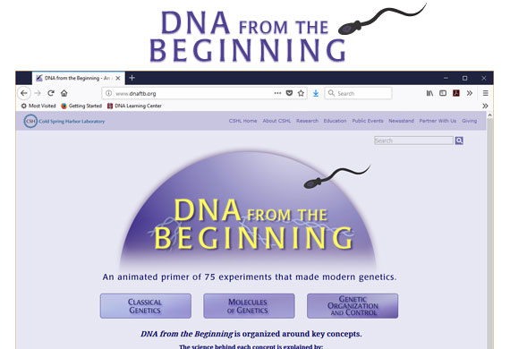 DNA from the Beginning